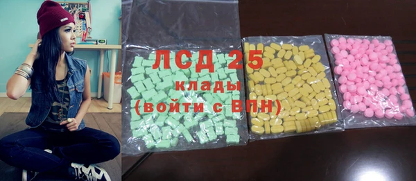 прущие грибы Бородино